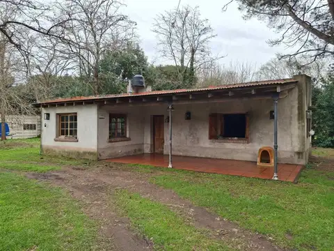 Pampa 300