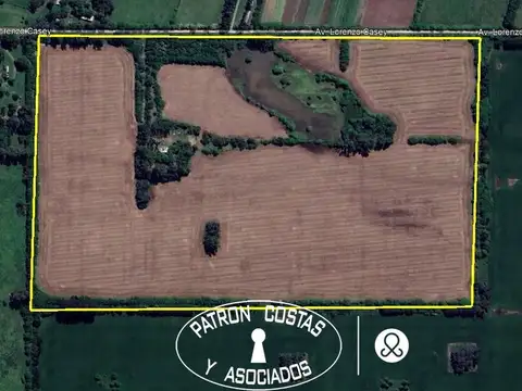 venta campo agricola lujan  ruta 5 -38 has