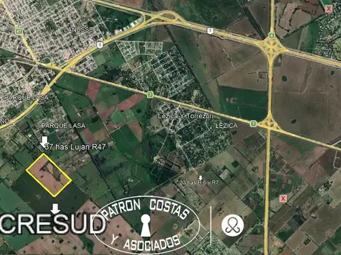 Campo en Venta de 37  ha