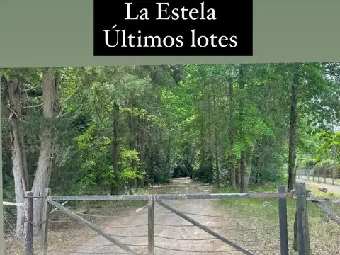 Terreno en Venta en Pilar Centro, USD 48.000