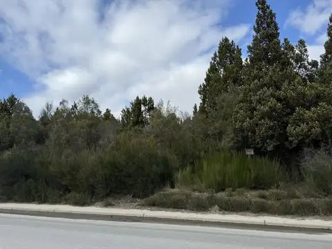 Terreno en Venta de 800,0 m2