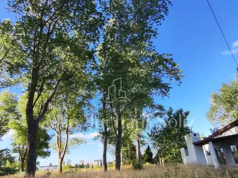 Terreno en Venta de 555,0 m2