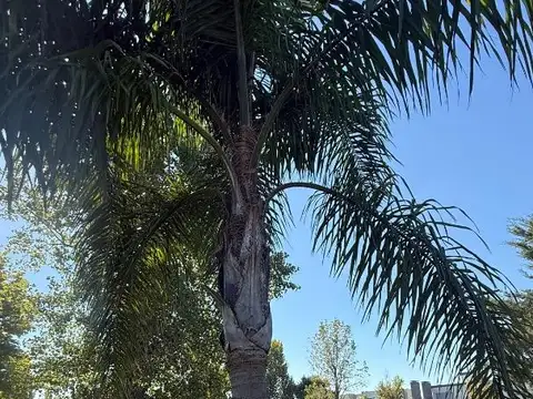 Casa en Venta en Terravista, USD 1.400.000