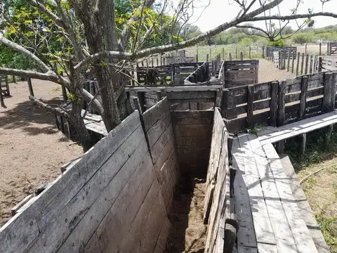 CAMPO GANADERO AGUARA  2110 HECTAREAS (PROVINCIA DE SANTA FE).