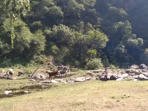 Campo en Venta en Choya, Santiago del Estero