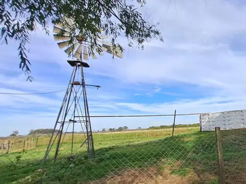 Ruta Nacional 9 100