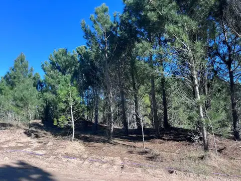 Terreno en Venta de 1086,0 m2