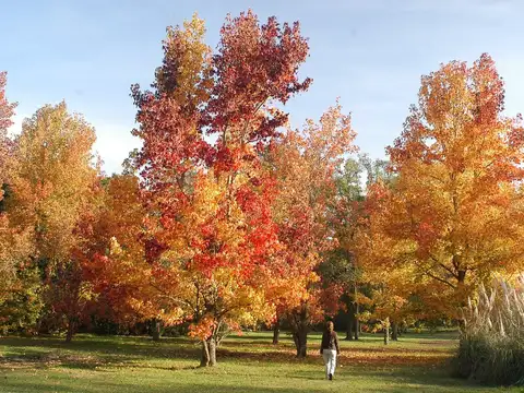 RUTA PROVINCIAL 41, 100