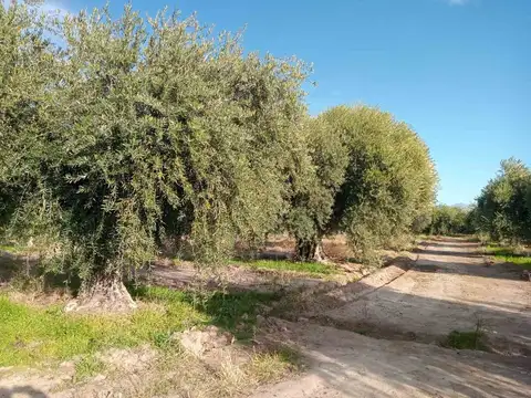 Terreno en Venta en Russell, Maipú