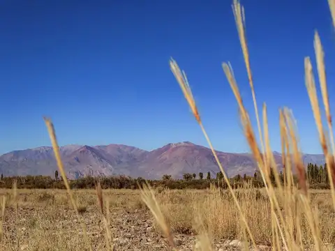 Venta lote financiado en San Alberto - Uspallata 