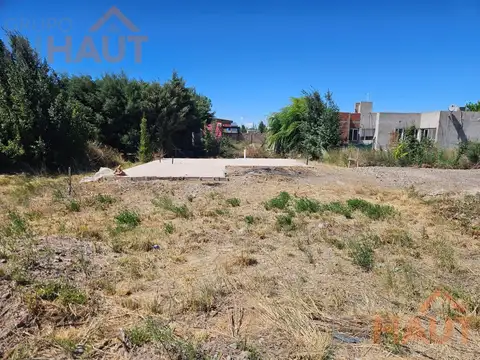 Isadora P. Bruno al 100