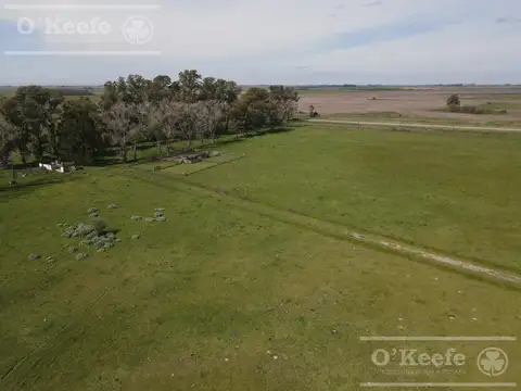 CAMPO MIXTO EN VENTA DE 200 HAS - FACIL ACCESO , CERCA DE BS.AS. - CHASCOMUS