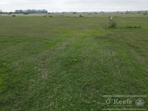 CAMPO MIXTO EN VENTA DE 200 HAS - FACIL ACCESO , CERCA DE BS.AS. - CHASCOMUS