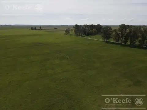 CAMPO MIXTO EN VENTA DE 200 HAS - FACIL ACCESO , CERCA DE BS.AS. - CHASCOMUS