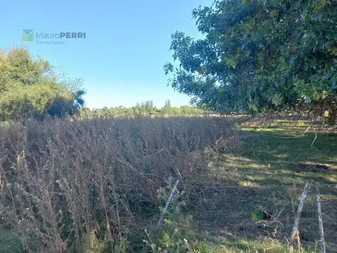 Terreno en venta en Chascomús, 4500 metros