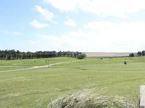 Terreno en Venta de 876,0 m2