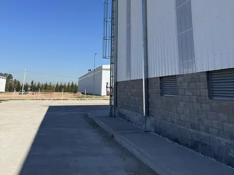 San Salvador de Jujuy - Carlos Spegazzini