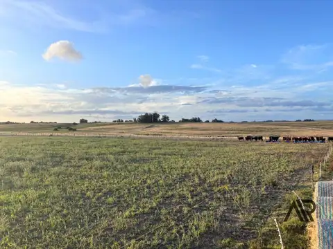 Laguna de José Ignacio