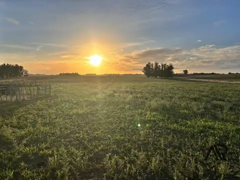 Chacra en venta de 21.5 ha ubicado en Laguna de José Ignacio, Maldonado.