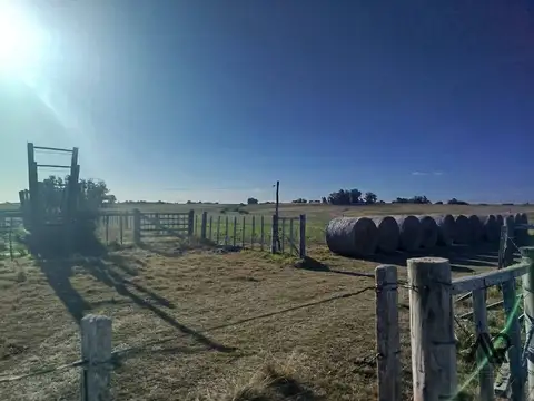 Chacra en venta de 21.5 ha ubicado en Laguna de José Ignacio, Maldonado.