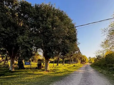 Terreno en Venta 26  mts Frente