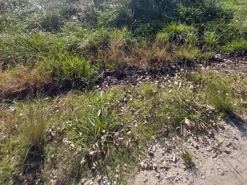 Terreno en Venta 28  mts Fondo