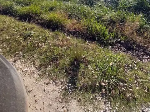 Terreno en Venta 14  mts Frente