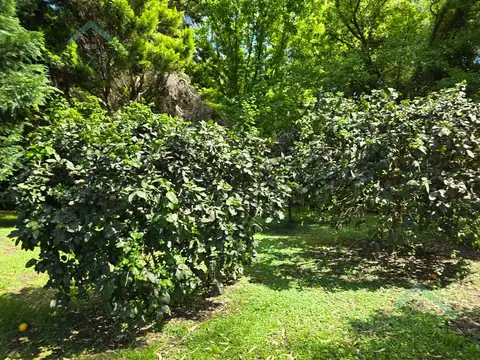 Terreno en Venta de 10000,0 m2