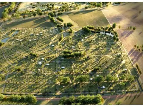 Cinco Lagos - Ibarlucea - Ruta 34 Km 10 - Lote 439