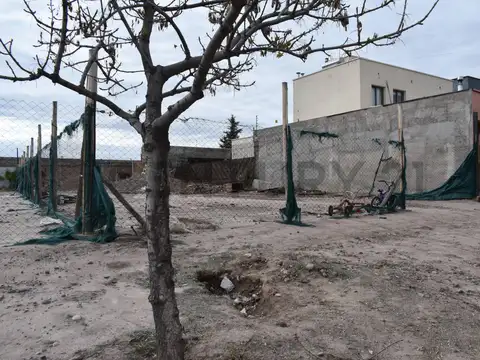 BARRIO RINCON DE MITRE B24 , Piso 0