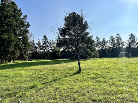 Ruta 34 - Ibarlucea' Lote 6