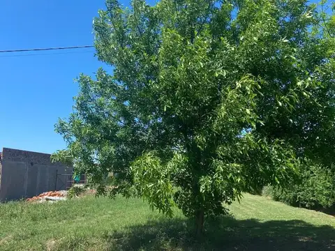 ECHEVERRIA 900