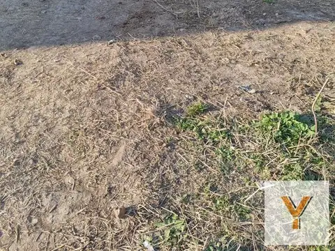Terreno en Venta de 312,0 m2