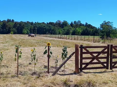 Chacra de 10.489 m² en Barrio Florentina con Anteproyecto Incluido