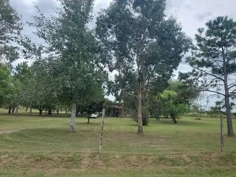 Ruta Nacional 11 300