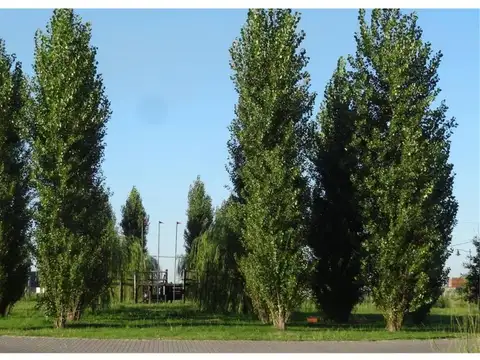 Terreno en Venta en Roldan, USD 45.000