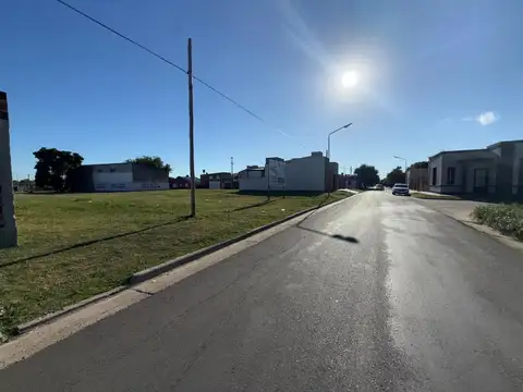 Cervantes 800
