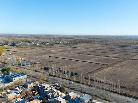 GRAN ALAMEDA, DESARROLLO INMOBILIARIO, CIPOLLETTI