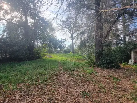 Terreno en Venta de 930,0 m2