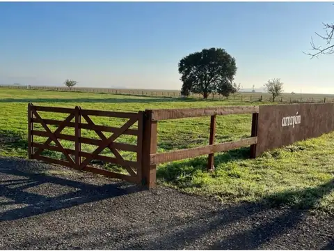 Avenida de los Blandengues