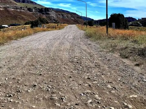 Taique y Lago  Nuevo 100