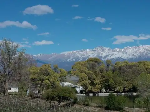 Terreno en Venta en Tupungato, Mendoza