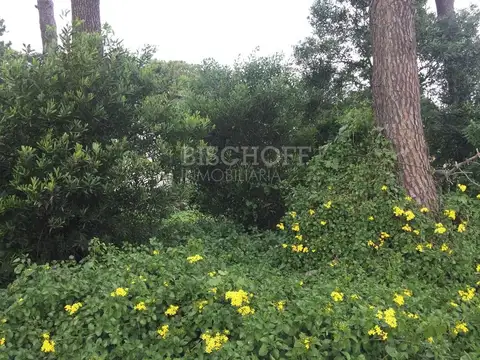 TERRENO SOBRE AVENIDA PRINCIPAL, EN ZONA SUR, VILLA GESELL