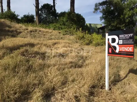 TERRENO SOBRE AVENIDA PRINCIPAL, EN ZONA SUR, VILLA GESELL