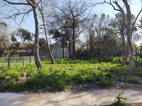 Intendente Tirigal  al 1700 Lote 4D