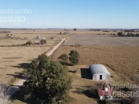 RUTA PROVINCIAL 51 - KM al 100