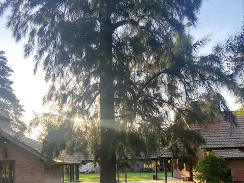 Quinta en Venta en Mercedes, USD 190.000