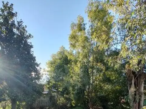 Terreno en Venta 33  mts Fondo