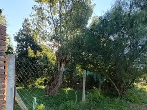 Terreno en Venta de 330,0 m2