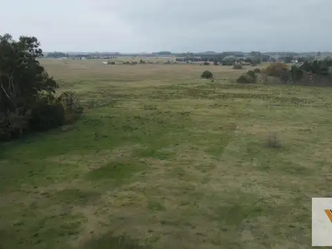 2 y Maipú